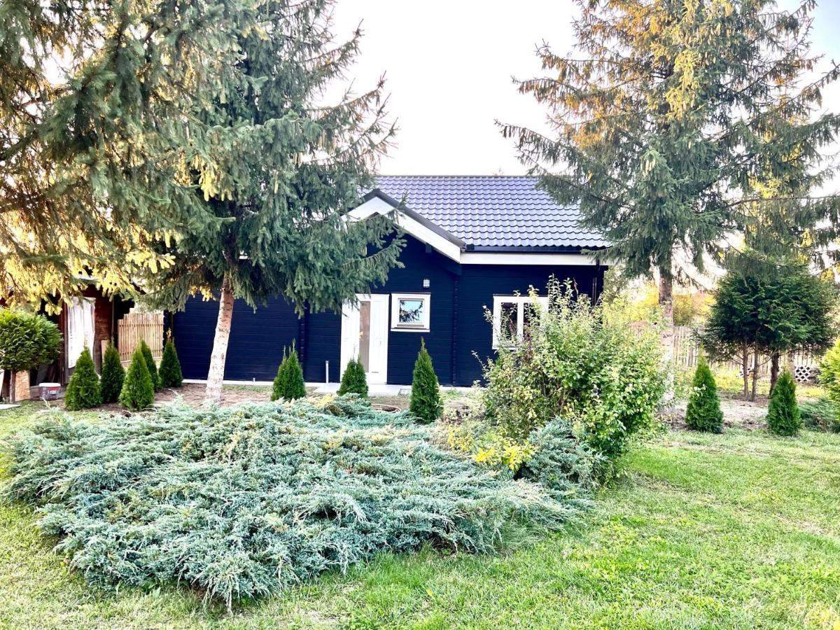 Vila Scandinavia Sangeorgiu de Mures Exterior photo